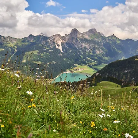 Hohenfels 4* تانهايم